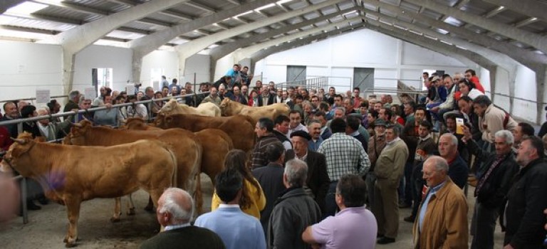 Feria del ganado de Pedrafita